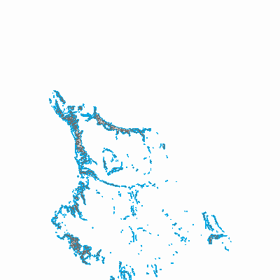 Export Image